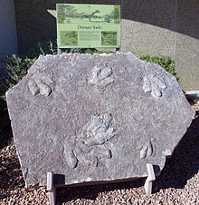 Соотнесённые с дилофозавром следы. Формация Кайента, Аризона, США