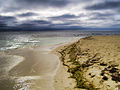 Goff's Caye Belize 2007.jpg