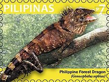 Gonocephalus sophiae 2011 Briefmarke der Philippinen.jpg
