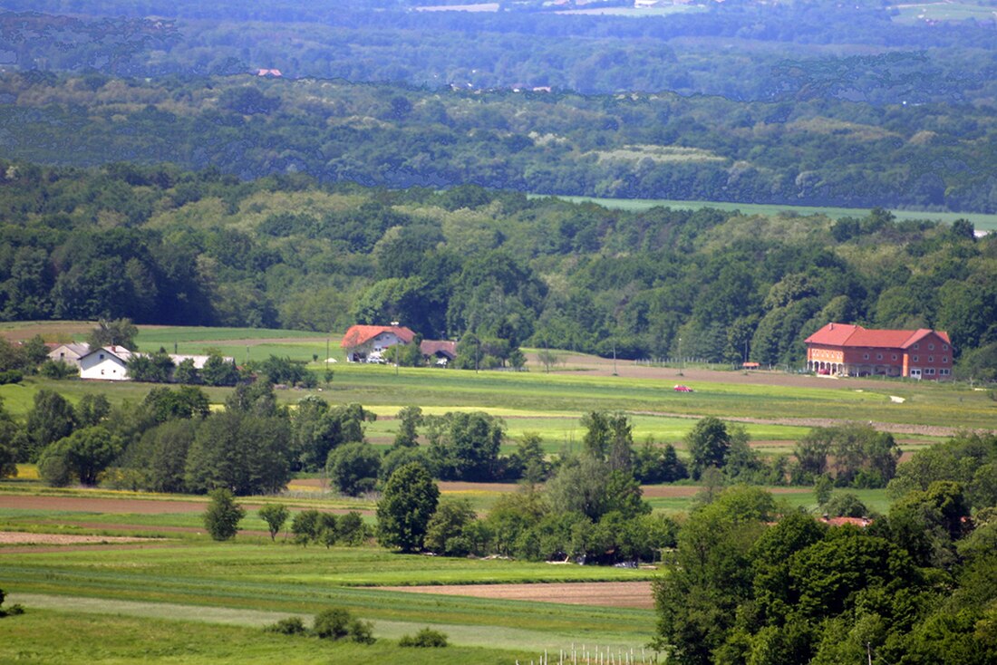 Gorica (Puconci)