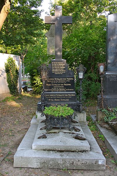 File:Grave Ludwig Tetmajer.jpg
