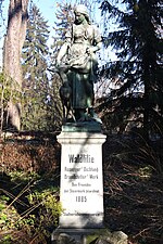 Waldlilie im Grazer Stadtpark