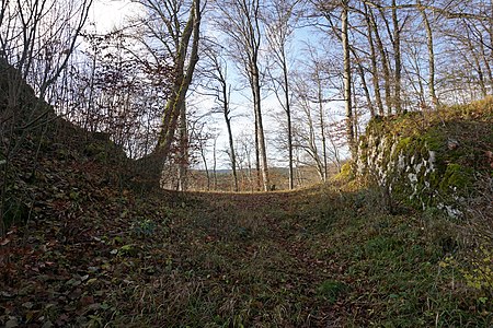 Halsgraben der Burg Schatzberg