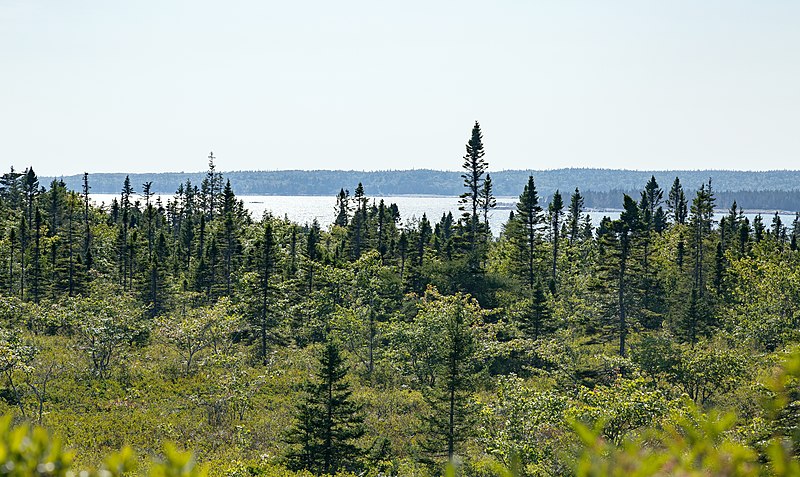 File:Harbour Rocks Trail, Kejimkujik Seaside, Nova Scotia (23370548583).jpg