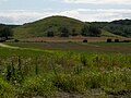 Hatbakke på Langeland