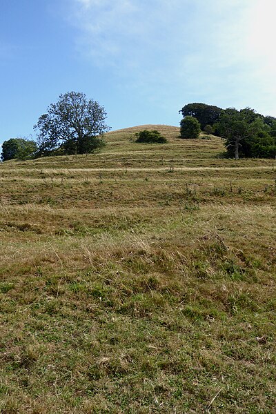 File:Hawkesbury Knoll as seen from the west.jpg