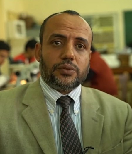 Hesham Sallam.jpg