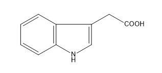 Файл:Indole acetic acid.tiff