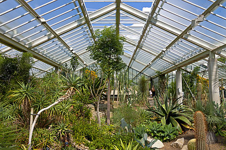 Interior of main section of Princess of Wales Conservatory, Kew Gardens
