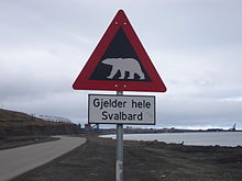 „Gilt für ganz Spitzbergen“ – Eisbären-Warnschild