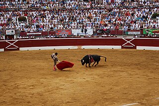 Fortune Salaire Mensuel de Joselito Adame Combien gagne t il d argent ? 1 000,00 euros mensuels