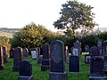 Gravestones at the Crainfeld Jewish Cemetery, photo 2005