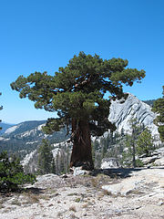 Yosemite, California