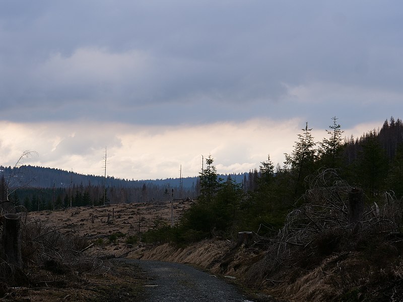 File:Königskruger Planweg 06.jpg