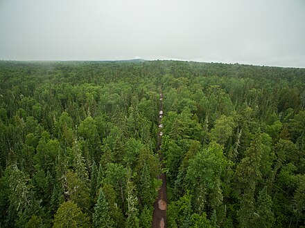 Second-growth forest near the tip of the Keweenaw, facing west
