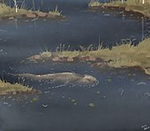 Restoration of Koolasuchus swimming through a stream of water Koolasuchus in a stream.jpg