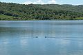 Lago Filleit - 03/07/2016 - 07.jpg