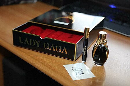 Lady Gaga Fame