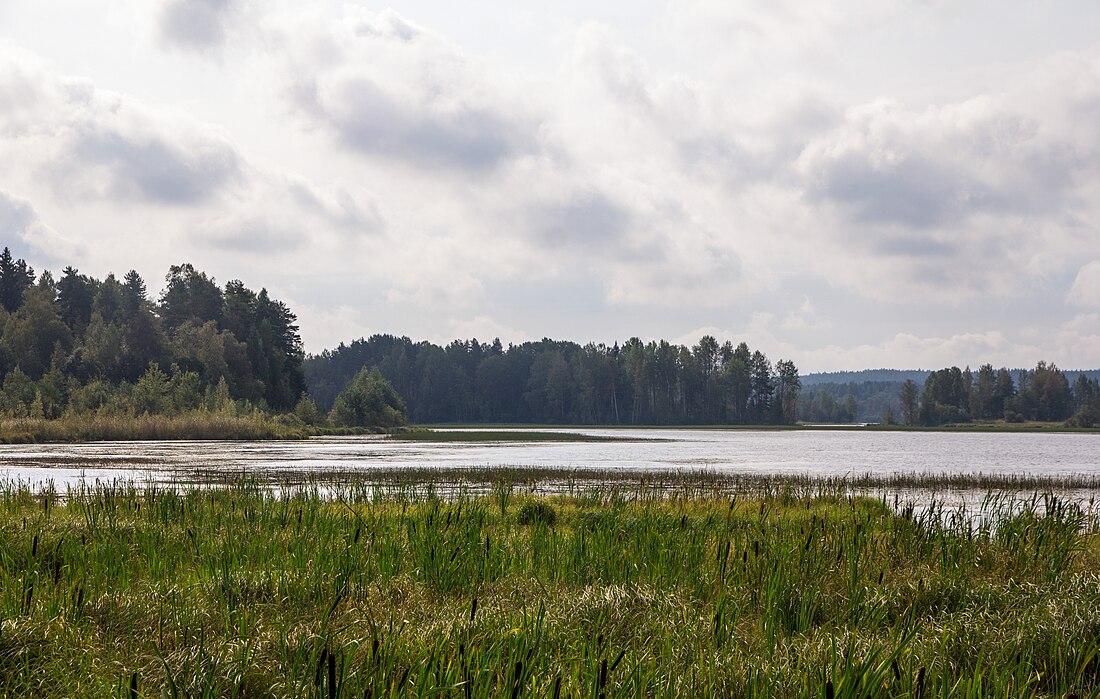 Куоккаярви