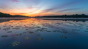 39. Platz: Matthias Süßen mit Bossee im Landschaftsschutzgebiet Westenseelandschaft im Kreis Rendsburg-Eckernförde