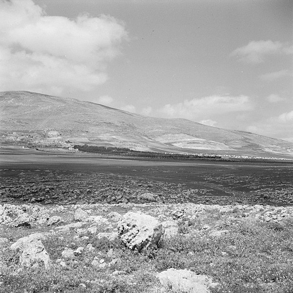 File:Landschap langs de weg van Ramallah naar Nablus, Bestanddeelnr 255-5563.jpg