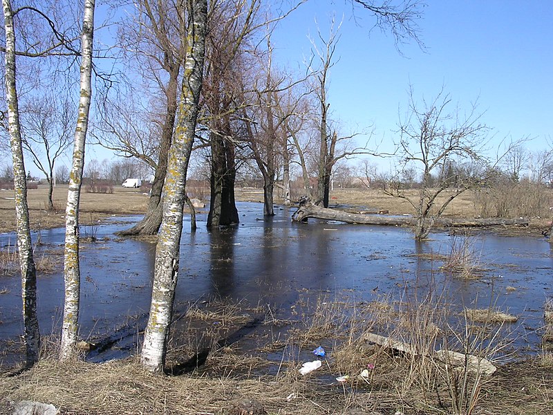 File:Lasnamäe - panoramio.jpg