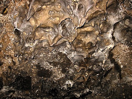 Lavacicles on the ceiling of Mushpot Cave in Lava Beds National Monument