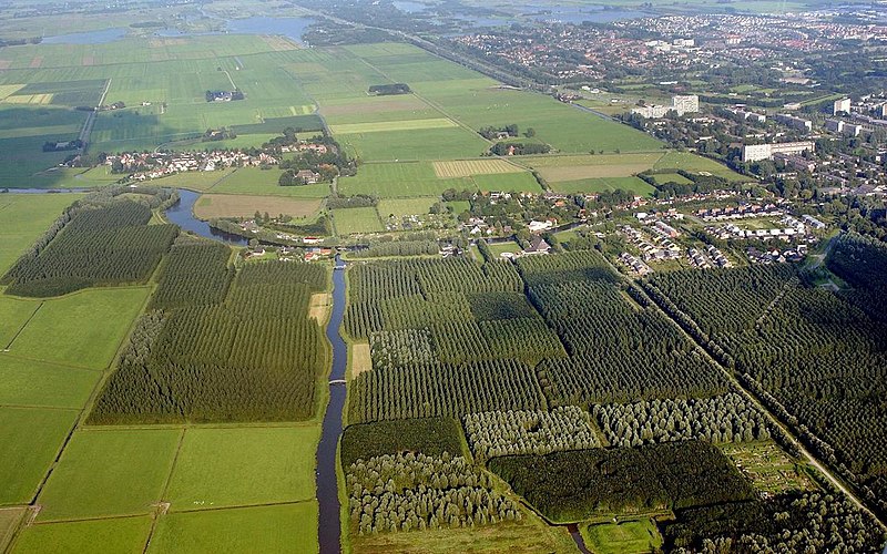 File:Leeuwarder bos van boven af.jpg