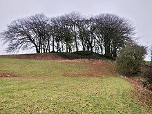 Lemonstown Motte, County Wicklow, Ireland. 4.jpg