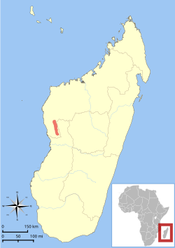 Lepilemur randrianasoloi range map.svg