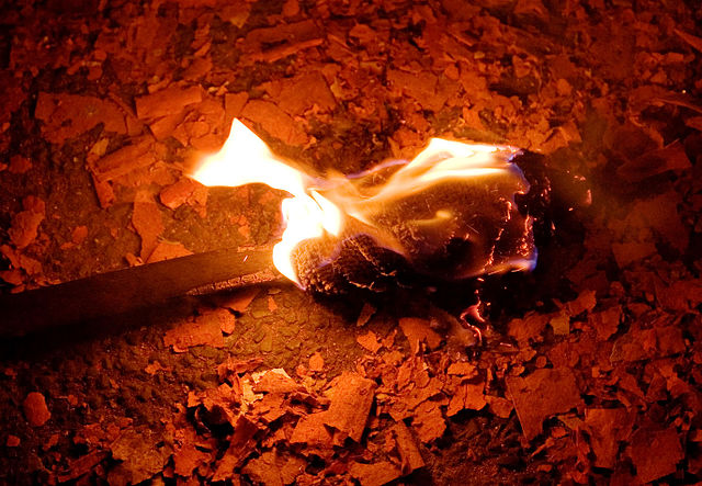 https://upload.wikimedia.org/wikipedia/commons/thumb/b/b8/Lewes_Bonfire%2C_discarded_torch.jpg/640px-Lewes_Bonfire%2C_discarded_torch.jpg