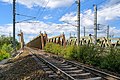 * Nomination Railway bridge, Linz-Ebelsberg --Isiwal 20:34, 2 September 2021 (UTC) * Promotion  Support Good quality. --Ermell 21:43, 2 September 2021 (UTC)