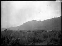 Logging train laden with logs, the "Puke Puke Express" Logging train laden with logs, the "Puke Puke Express", near Pukepuke in Oroua County (21474181866).jpg