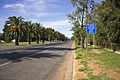 Looking down Yanco Ave in Leeton, New South Wales.