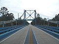 Carrying SR 51 across the Suwannee River, the border between Suwannee and Lafayette counties. Looking south from the center of the bridge.