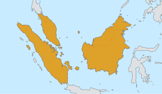 <span class="mw-page-title-main">Malaysian eared nightjar</span> Species of bird