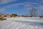 Thumbnail for File:MG 1691 Usedom Gnitz.jpg