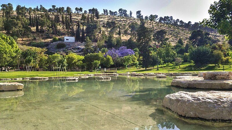 File:Ma'ayan Harod National Park (33849175144).jpg