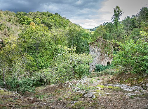 Maison du Meunier in Peyrusse-le-Roc