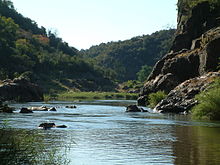The walls of Lanner Gorge in the Makuleke are made of ancient sandstones. The Luvuvhu River has carved a deep canyon into these rocks. Makuleke2.JPG
