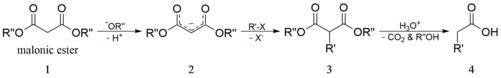 Malonic ester synthesis