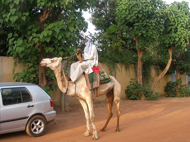 File:Man on camel behind a car in Burkina Faso, 2008.jpg