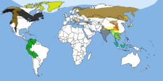 Map of Bear species distribution.png