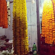Varieties of Marigold for offering to Lingaraja during Shivaratri at Bhubaneswar.