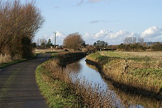 <span class="mw-page-title-main">Mark Yeo</span> River in north Somerset, England