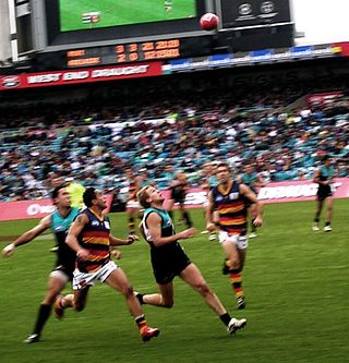 <span class="mw-page-title-main">Showdown Medal</span> Annual Australian rules football award