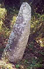 Vignette pour Menhir de Medost