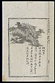 Ming herbal (painting); Ciliate desert grass Wellcome L0039424.jpg