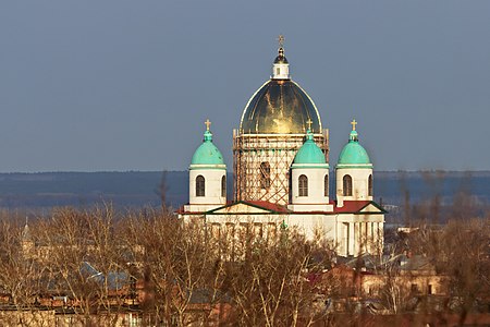 Morshansk (Tambov Oblast) 03-2014 img05 Trinity Cathedral.jpg