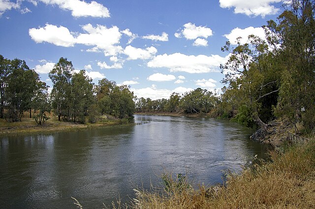 Murrumbidgee River at Wagga Wagga